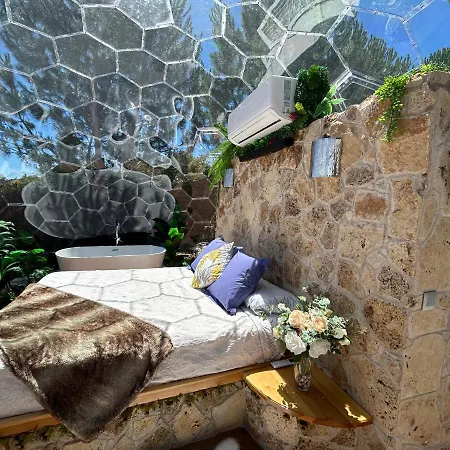 Skd Casa Ocre Garnacha Ávila