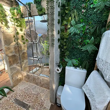 Skd Casa Ocre Garnacha * Ávila