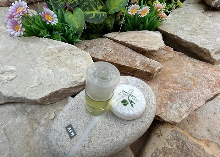 Skd Casa Ocre Garnacha *