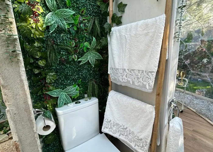 Skd Casa Ocre Garnacha Ávila